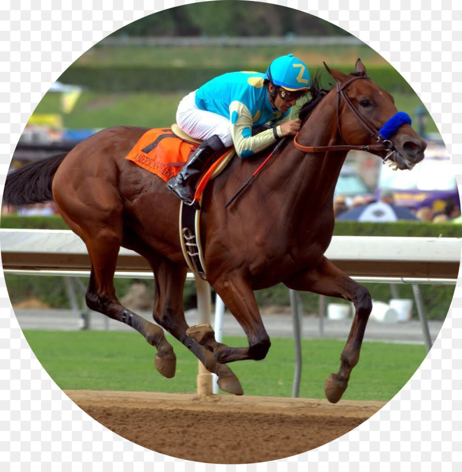 Parque De Belmont，Belmont Stakes PNG