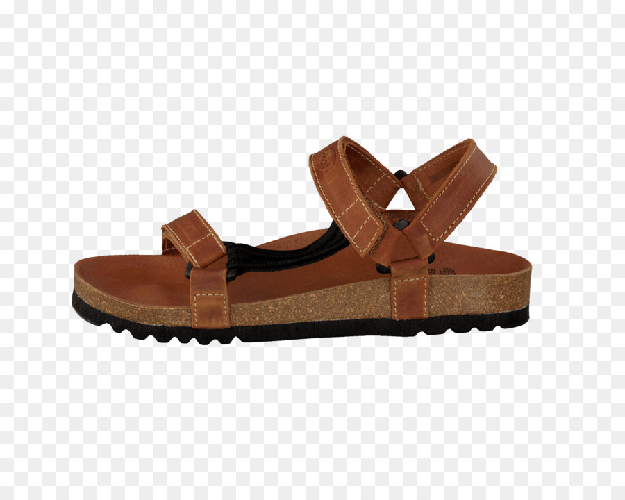 Zapato，Sandalia PNG