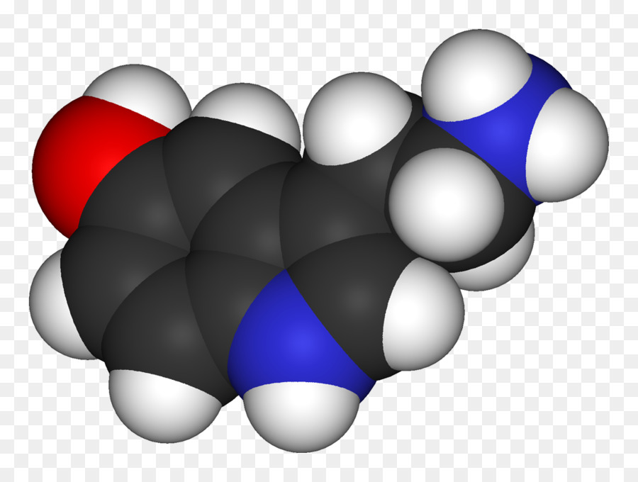 La Serotonina，Neurotransmisor PNG