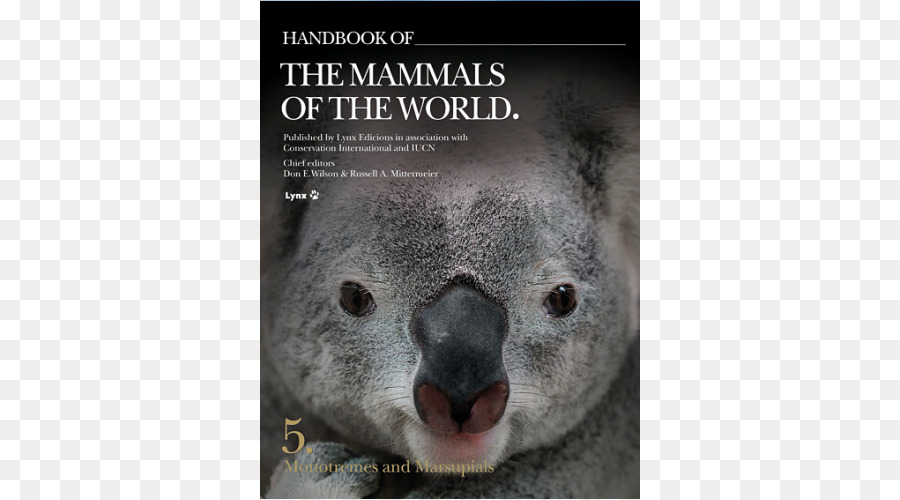 Koala，Manual De Los Mamíferos Del Mundo Volumen 2 PNG