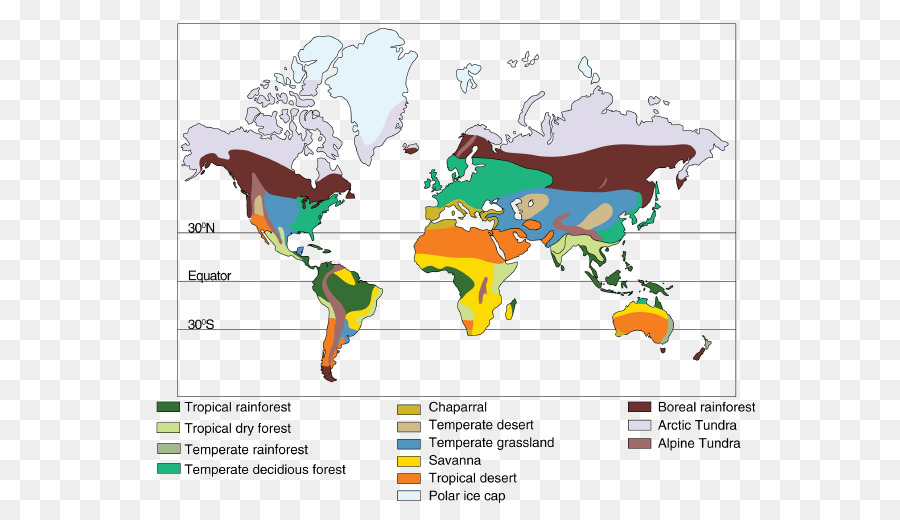 La Malaria，La Enfermedad PNG