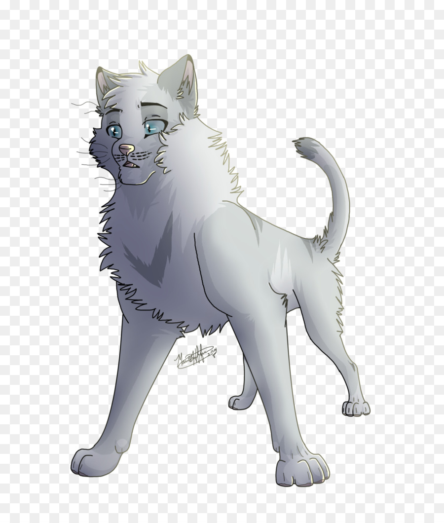 Gato Gris，Felino PNG