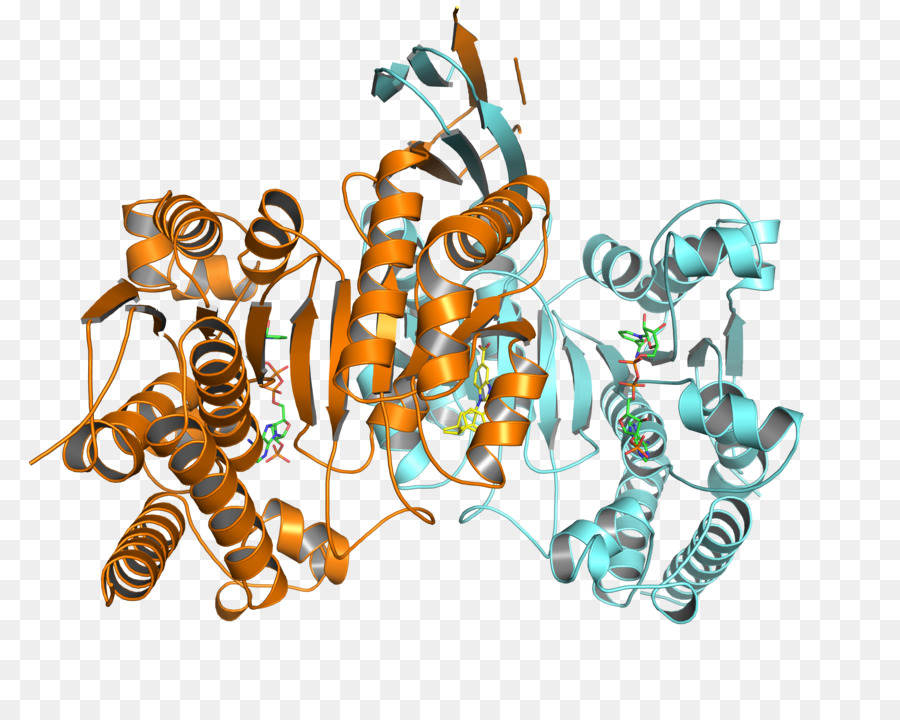 Centro Alemán De Investigación Oncológica，El Cáncer PNG