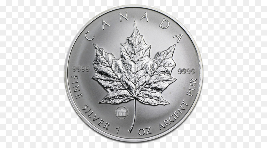 Canadá，Canadiense De Oro De La Hoja De Arce PNG