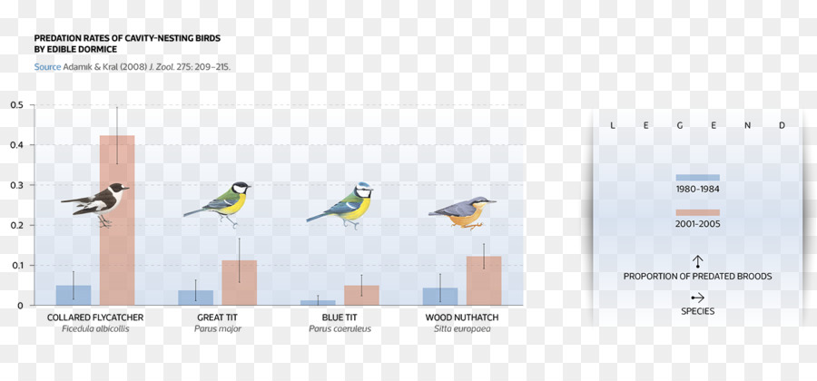 Pájaro，Cambio Climático PNG