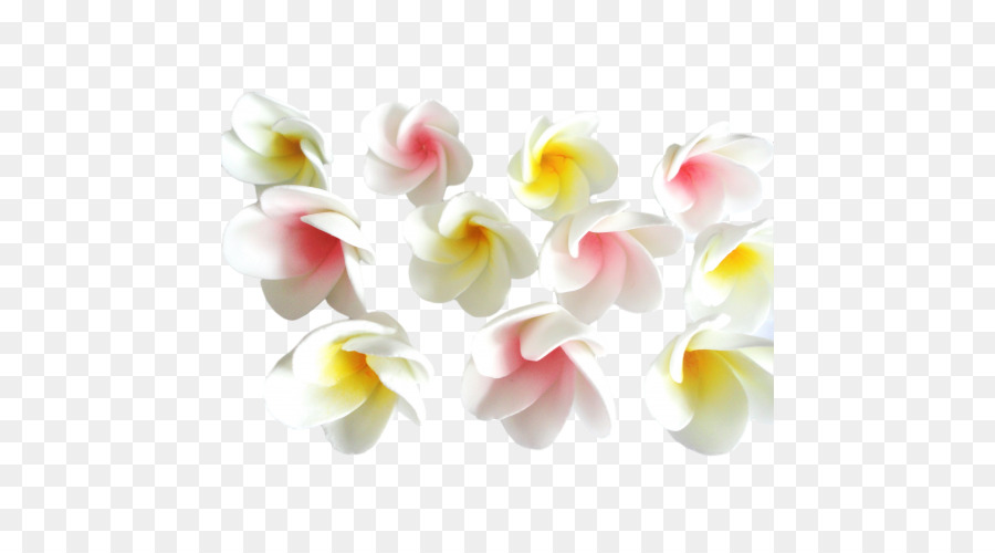 La Polilla De Las Orquídeas，Flor PNG