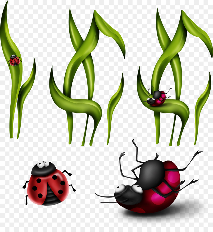 Los Insectos，Descargar PNG