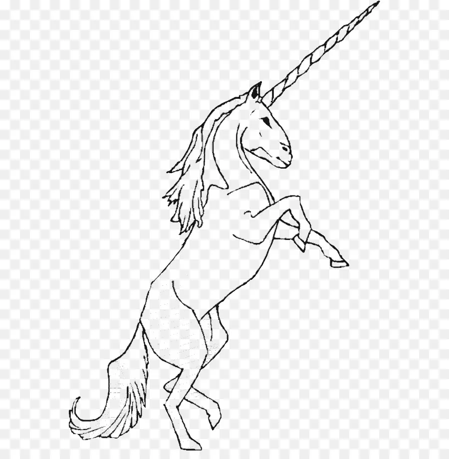 Contorno De Unicornio，Mítico PNG