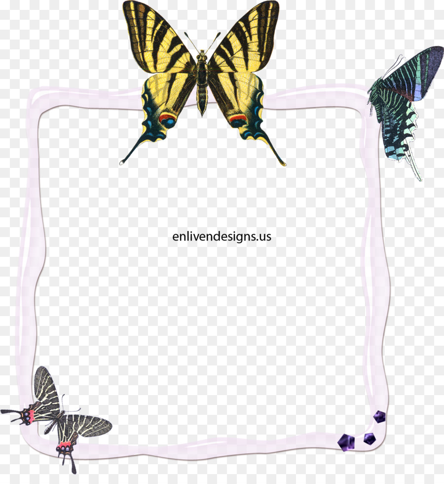 Mariposa，Escasos De Cola De Golondrina PNG