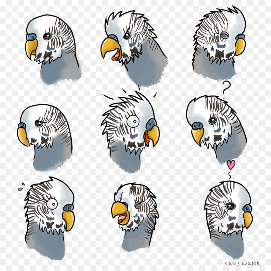 Caras De Pájaros，Expresiones PNG