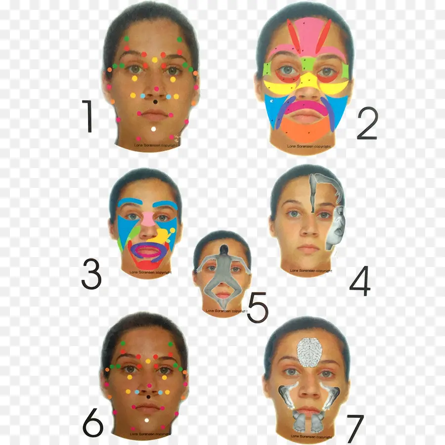 La Reflexología Facial，Lone Sorensen PNG