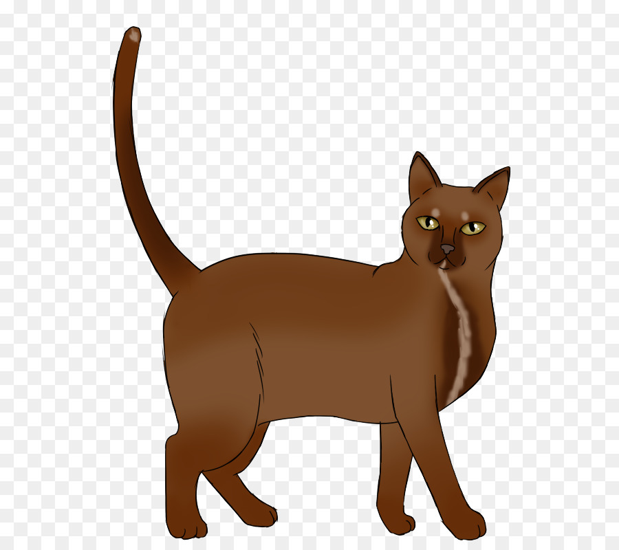 La Habana Brown，Tonkinese Gato PNG