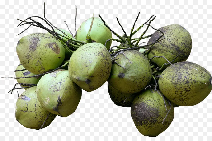 Agua De Coco，Leche De Coco PNG