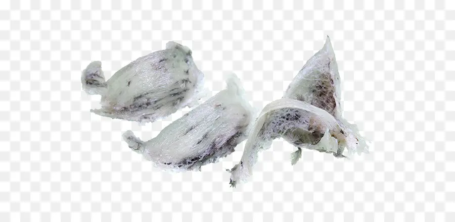 Nido De Pájaro，Comestible PNG