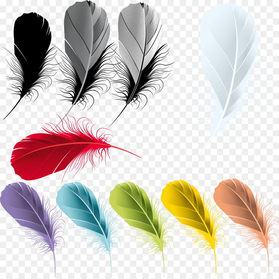 Pluma，Dibujo PNG