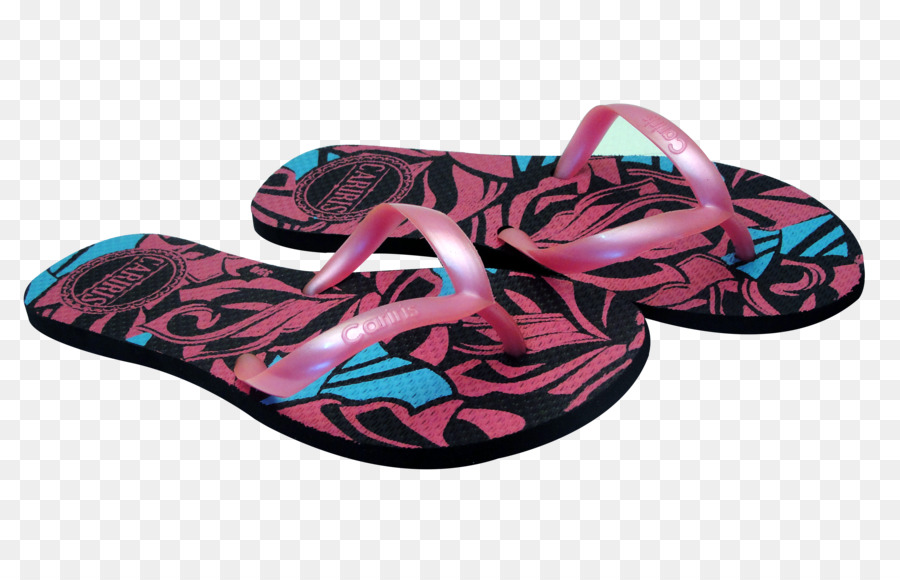 Flipflops，Zapatilla PNG