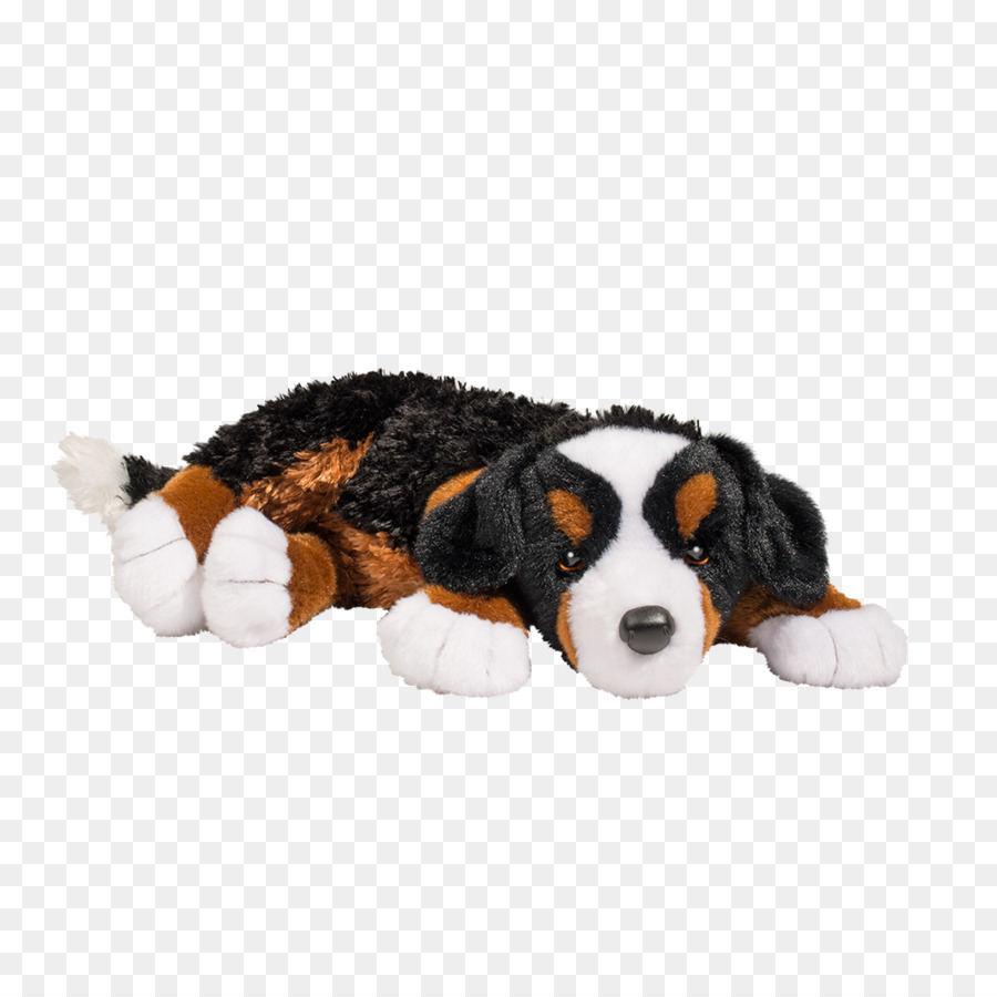 Perro De Montaña De Bernese，Cachorro PNG