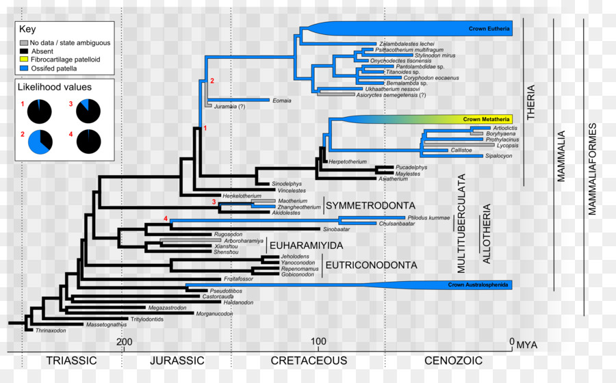 Diagrama De Cableado，Diagrama De PNG