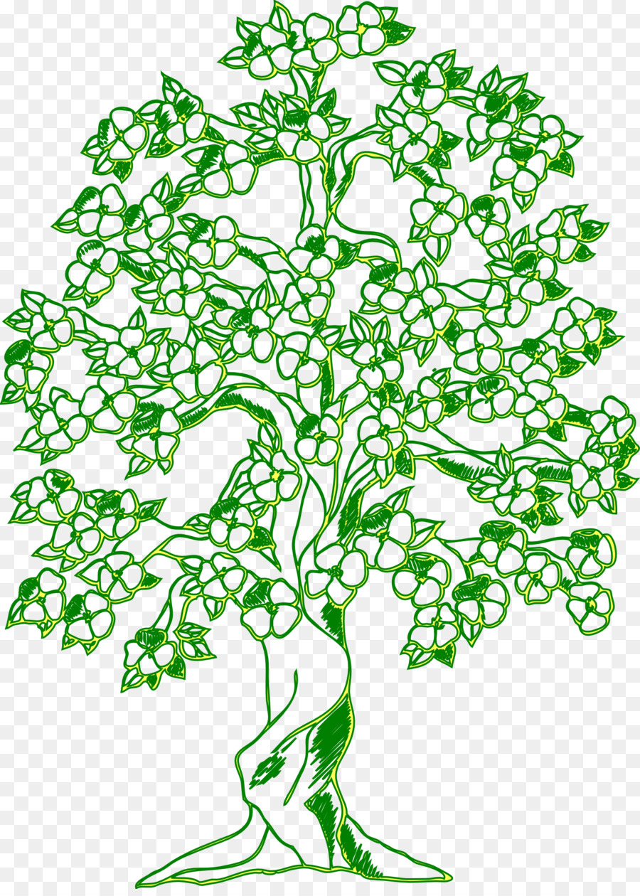 Árbol，Florecer PNG