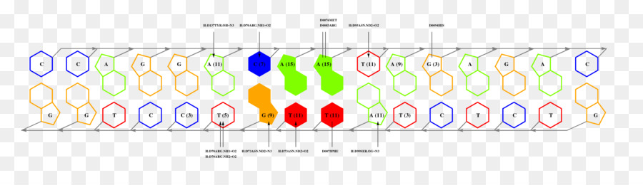 Diseño Gráfico，Línea PNG