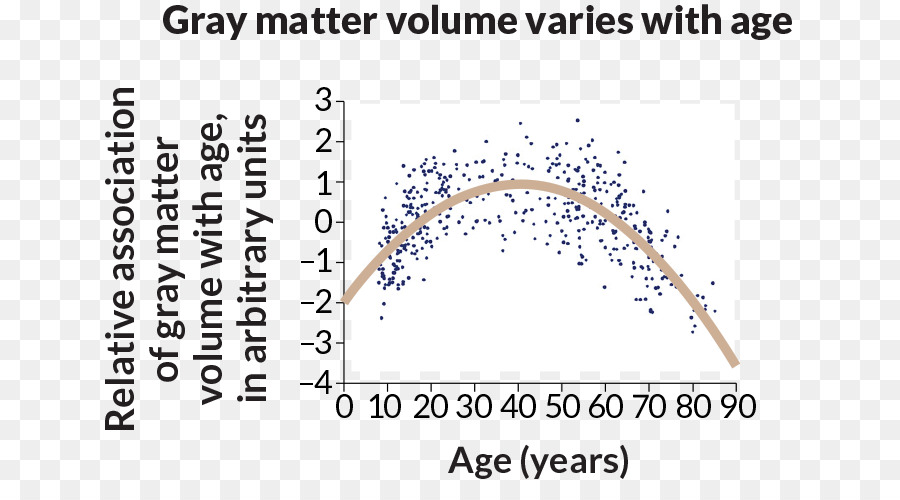 La Materia Gris，El Envejecimiento Del Cerebro PNG