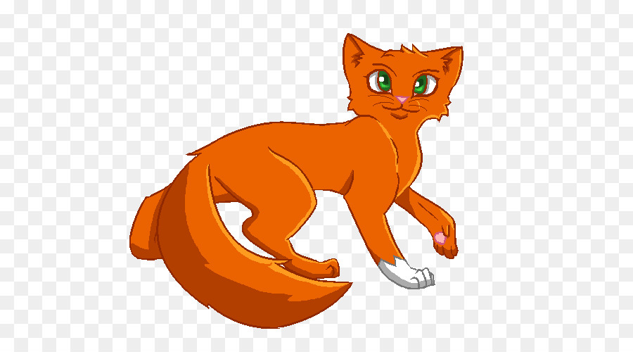 Gato，Animal PNG