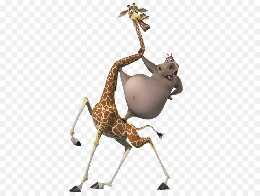 Gloria，Melman PNG