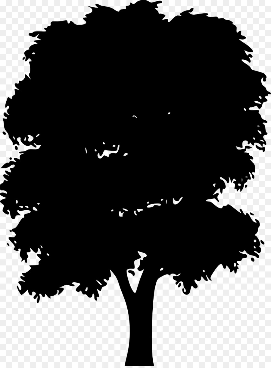 árbol，Iconos De Equipo PNG