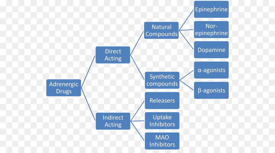 De Drogas Farmacéuticas，Agonistas Adrenérgicos PNG