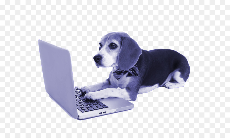 Perro Con Laptop，Perro PNG