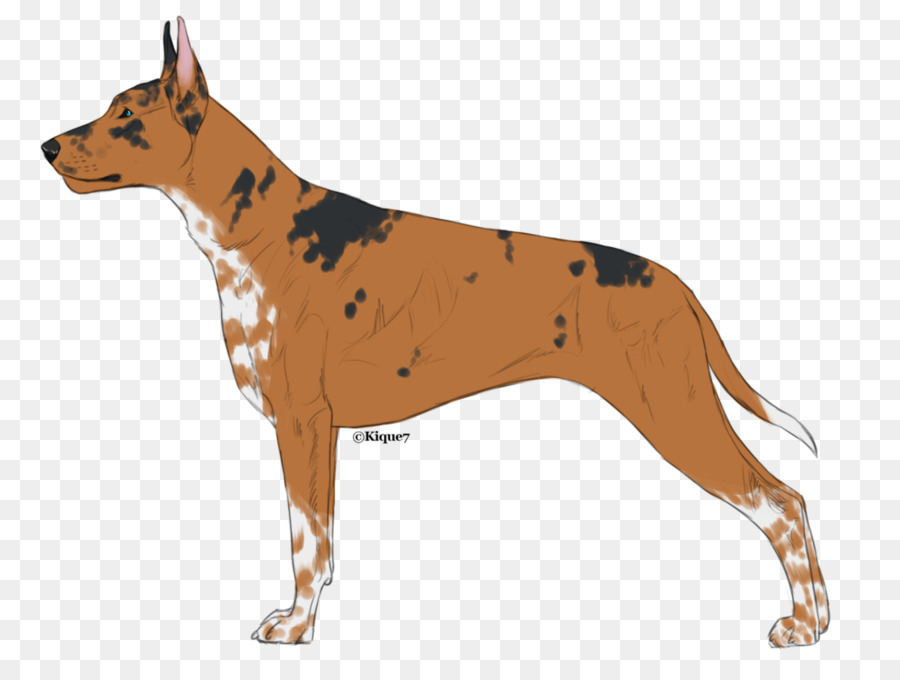 Perro，Mascota PNG