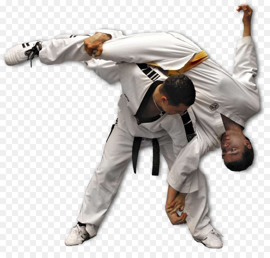 Artes Marciales，Luchar PNG