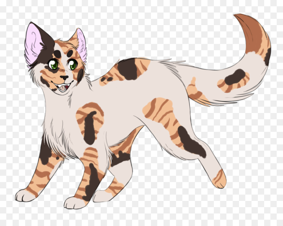 Gato De Dibujos Animados，Hojas PNG