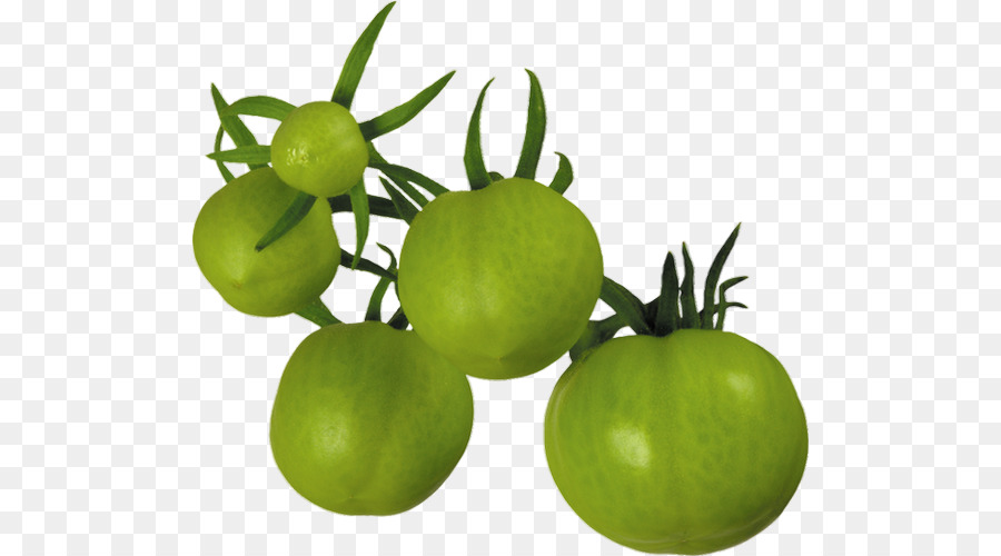 El Jugo De Tomate，Tomate PNG