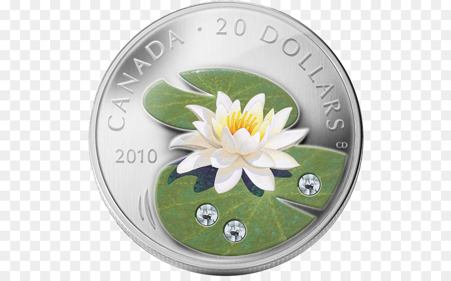 Canadá，Moneda De Plata PNG