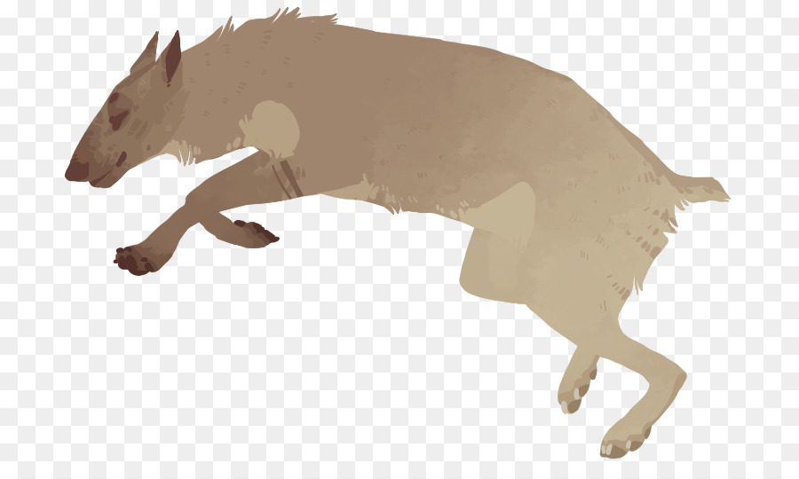 Canidae，Perro PNG