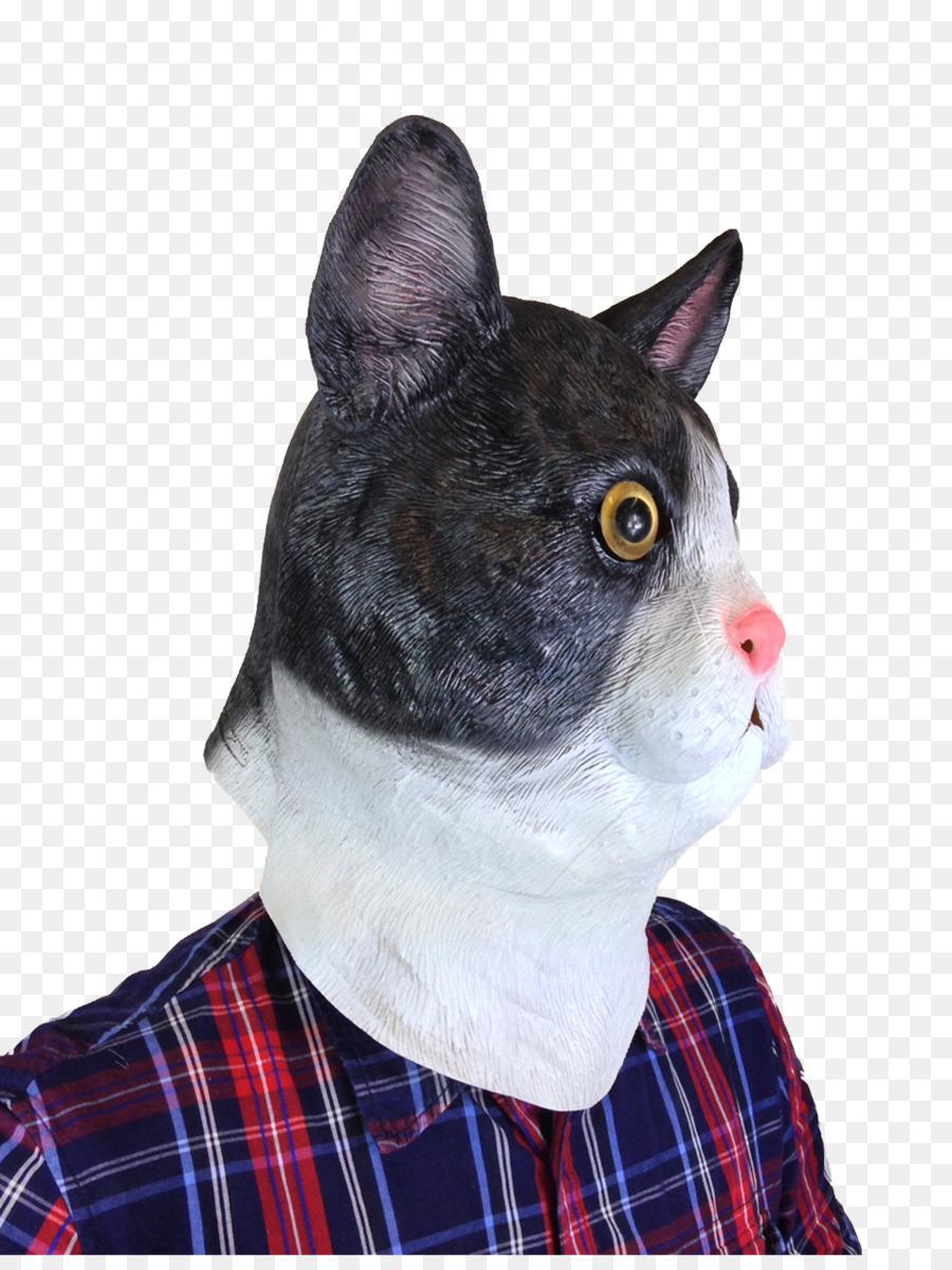 Bigotes，Gato PNG