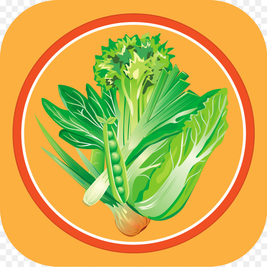 De Verduras De Primavera，Cocina Vegetariana PNG