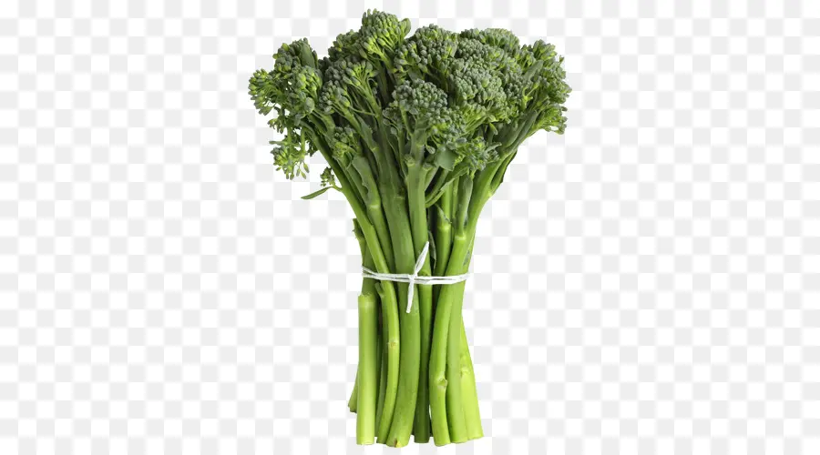 Broccolini，Verde PNG