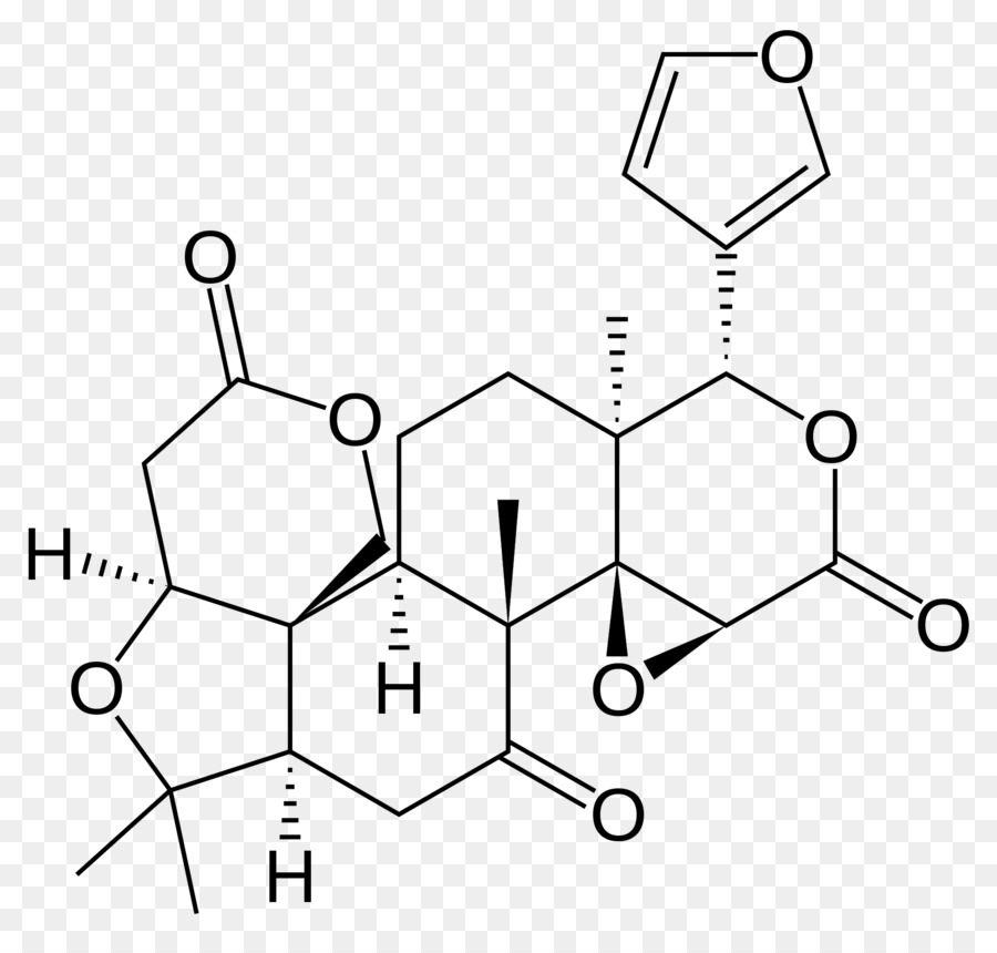 Limón，Limonoid PNG