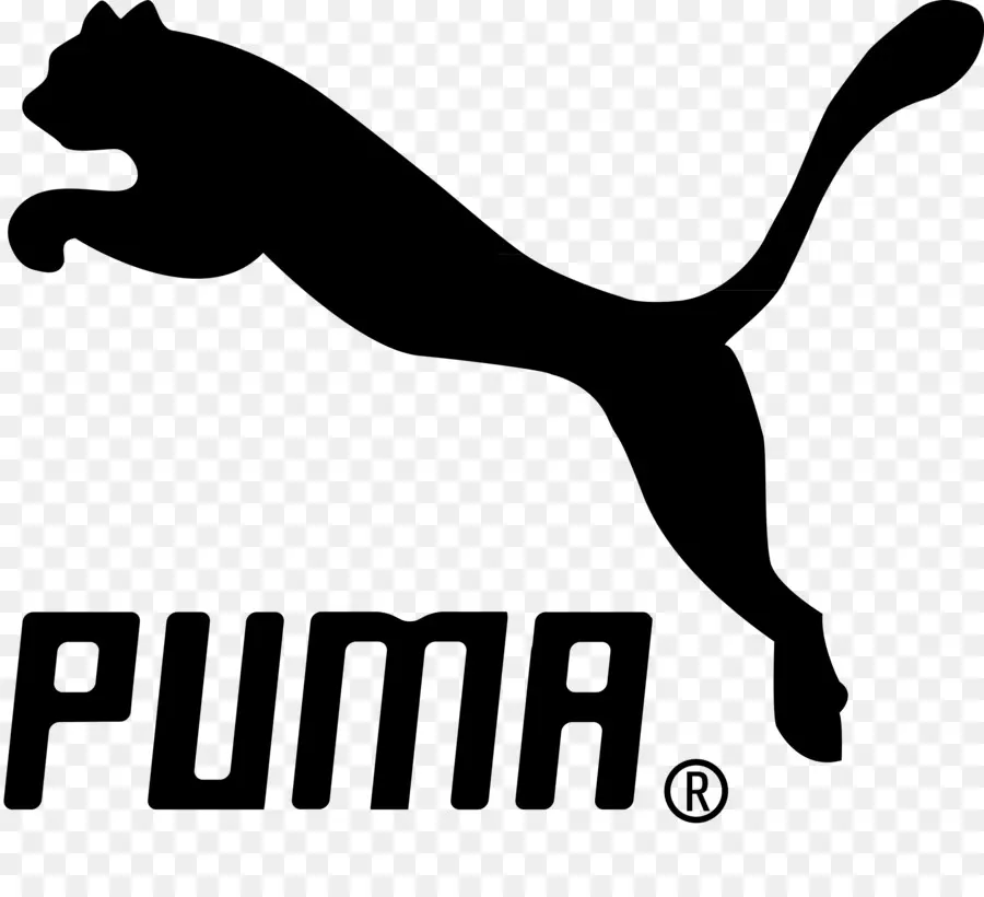 Chándal，Puma PNG