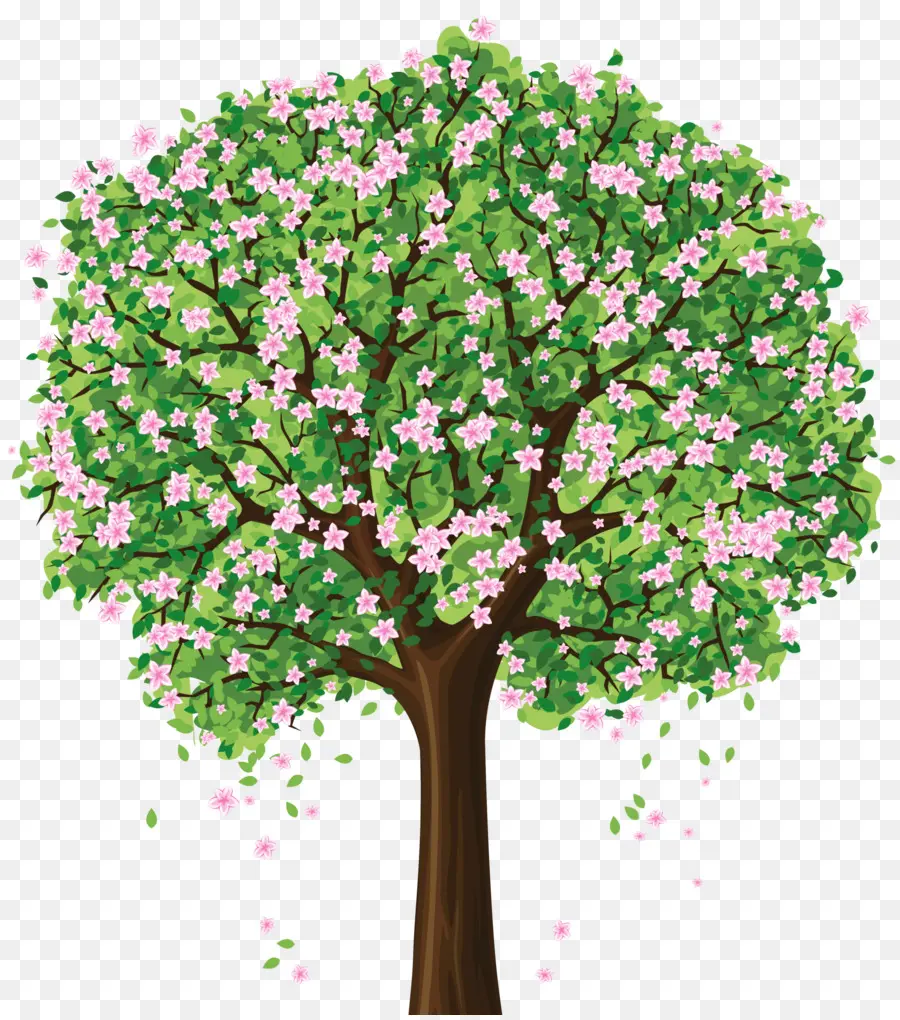 árbol，La Primavera PNG