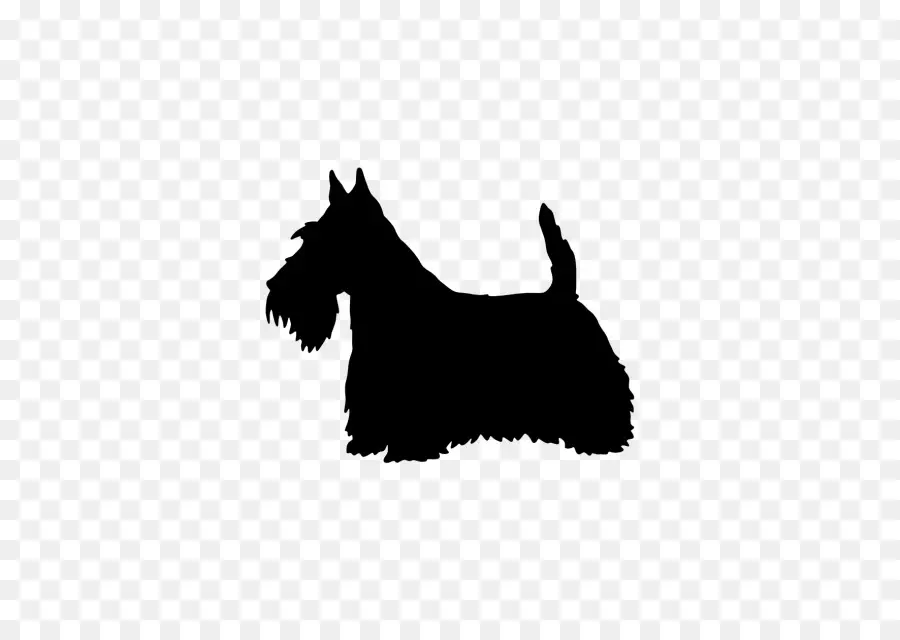 Scottish Terrier，West Highland White Terrier PNG