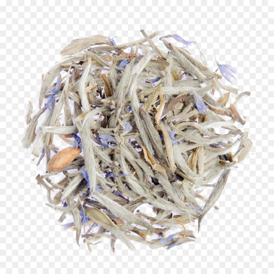 Pescaditos，Baihao Yinzhen PNG