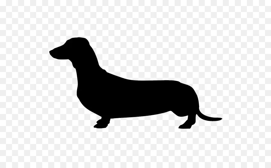 Dachshund，Cocker Spaniel Americano PNG