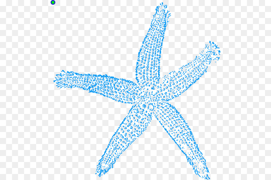 Estrella De Mar，Marina PNG