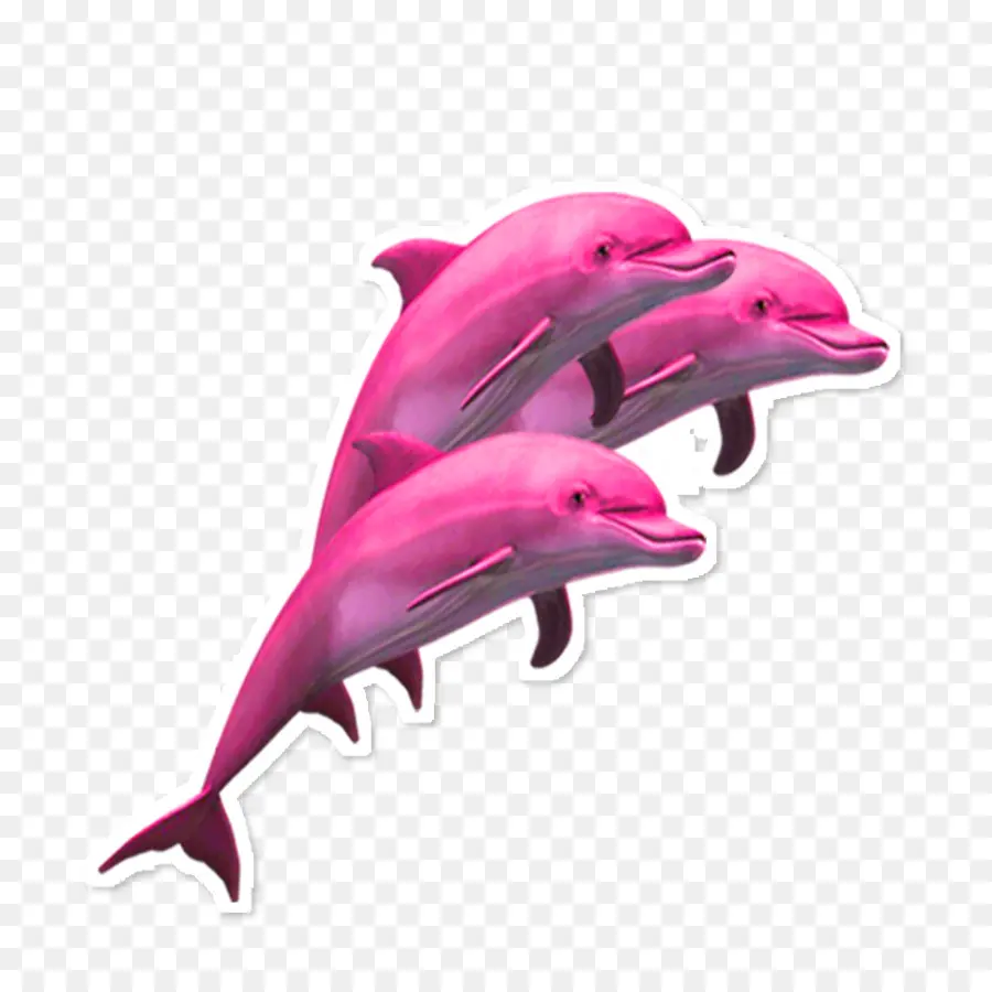 Dolphin，Marsopa PNG