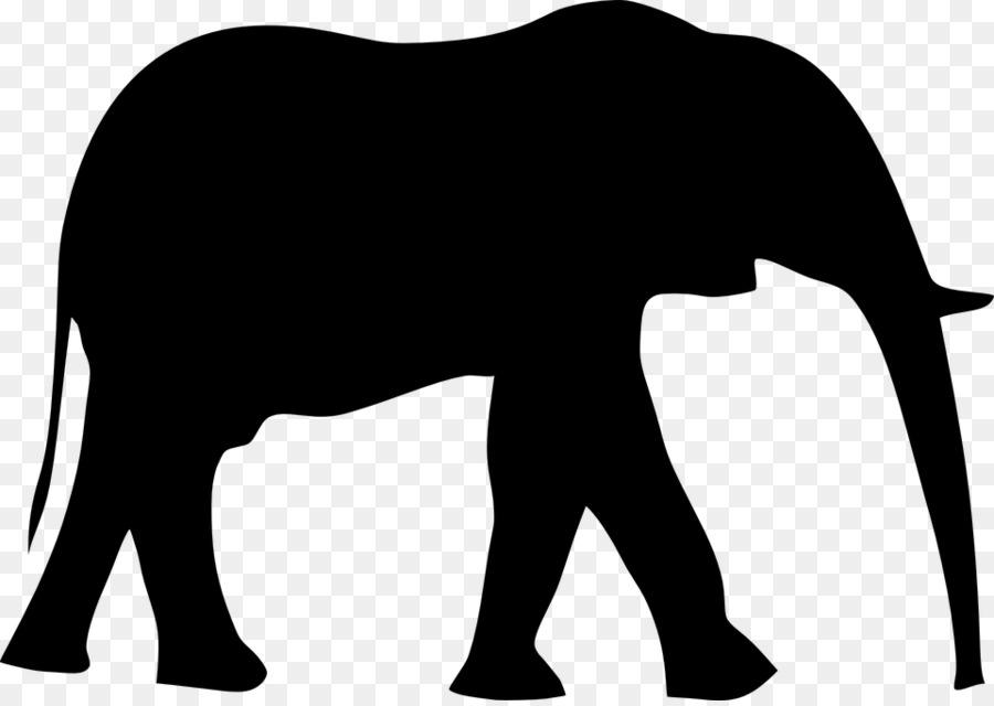 Elefante，Descargar PNG