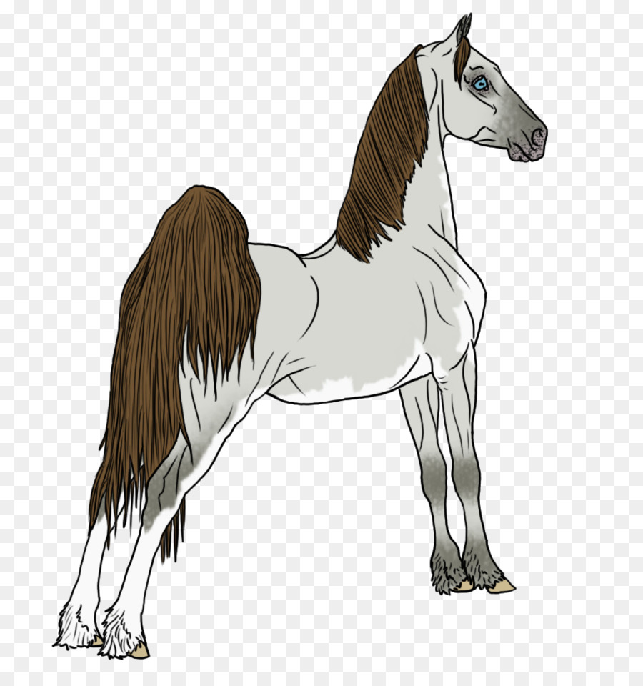 Dibujo De Caballo，Animal PNG