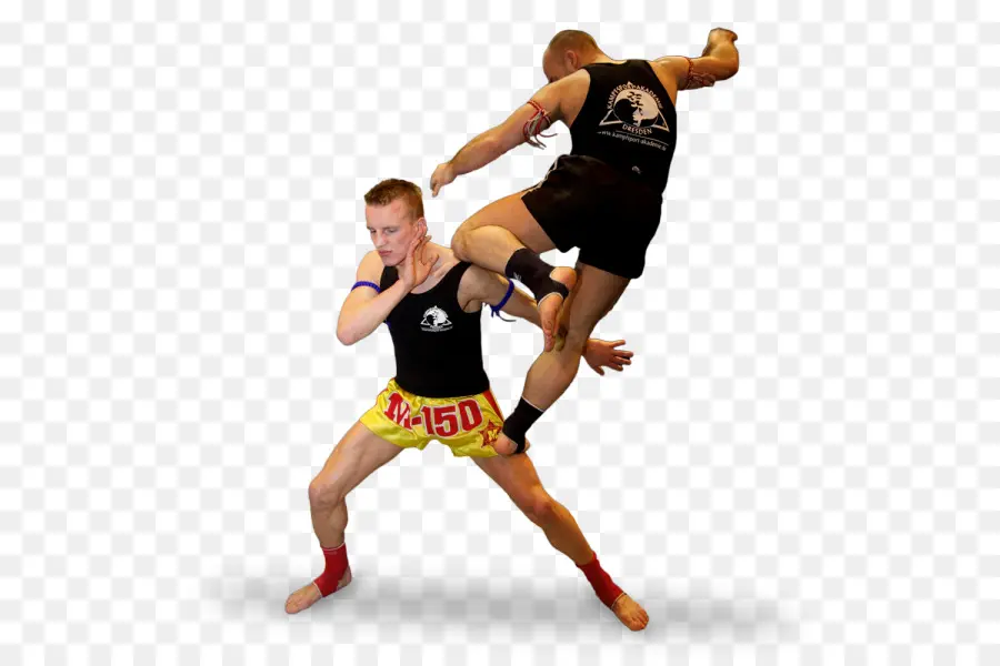 Muay Thai，Sanshou PNG